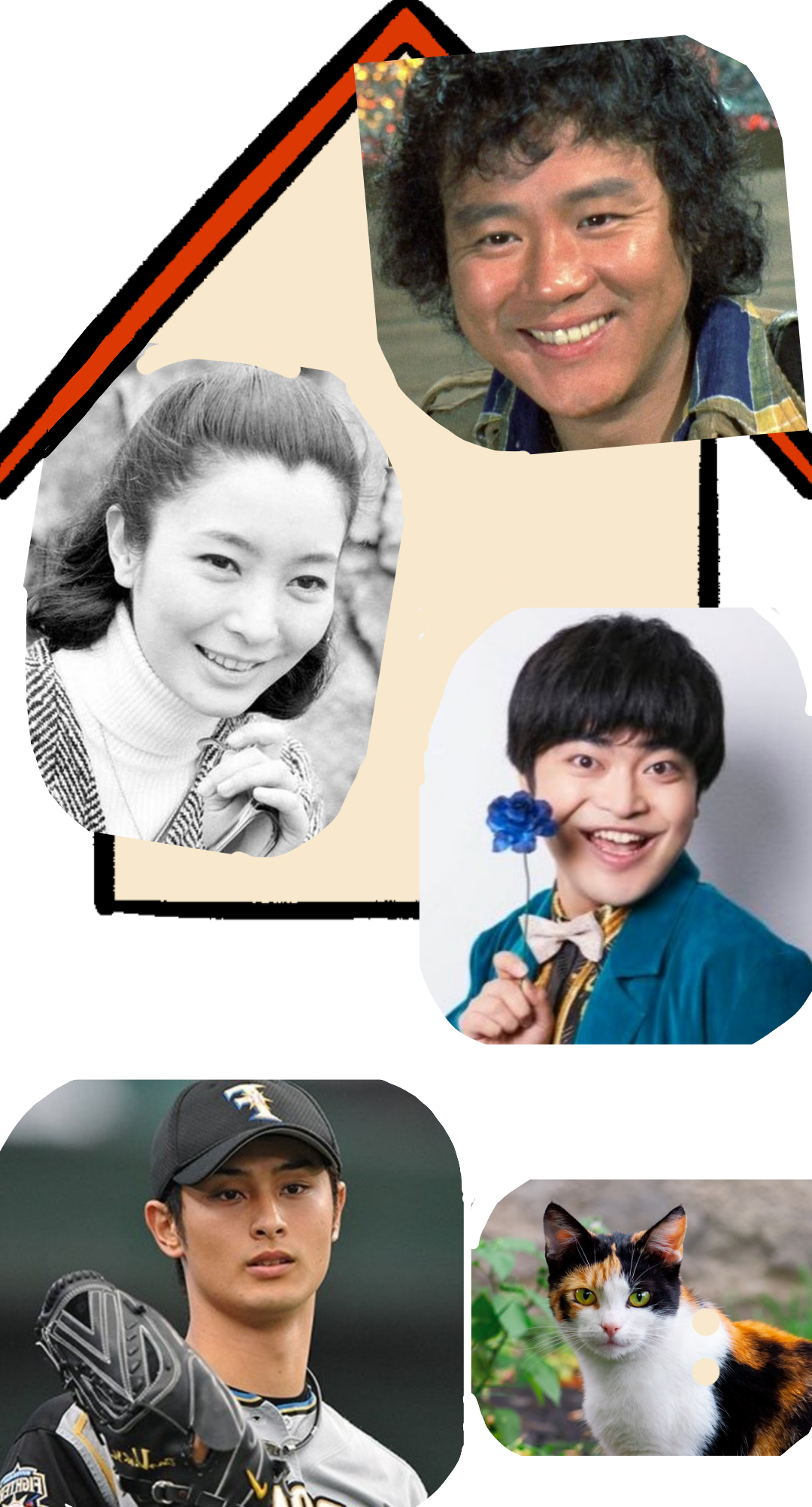 ご家族はそれぞれ芸能人の誰に似てますか？