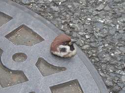 【画像】どうしてこうなった