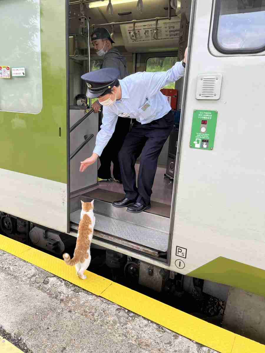 【画像】JR釜石線は猫による無賃乗車対応の為、30秒遅れです