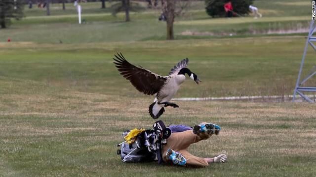 世界の危険な動物を集めるトピ