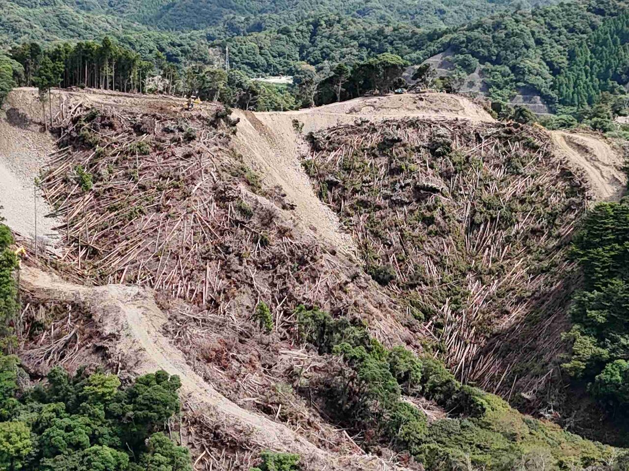 環境破壊や土砂災害、景観の悪化――全国に乱立するメガソーラー、なぜ中止にならない？