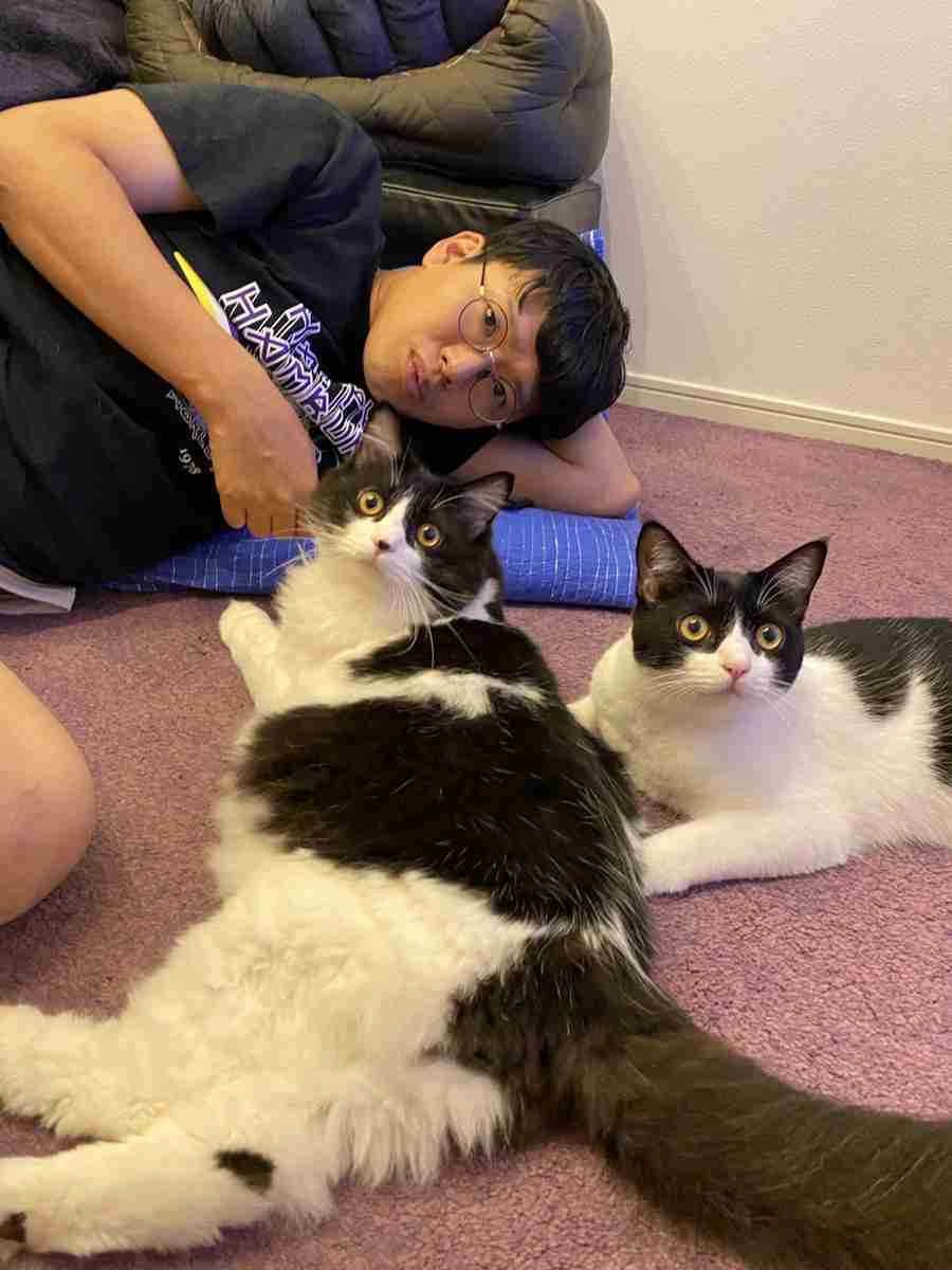 5匹の元捨て猫と暮らすミキ亜生「いずれは保護動物のシェルターを作りたい」