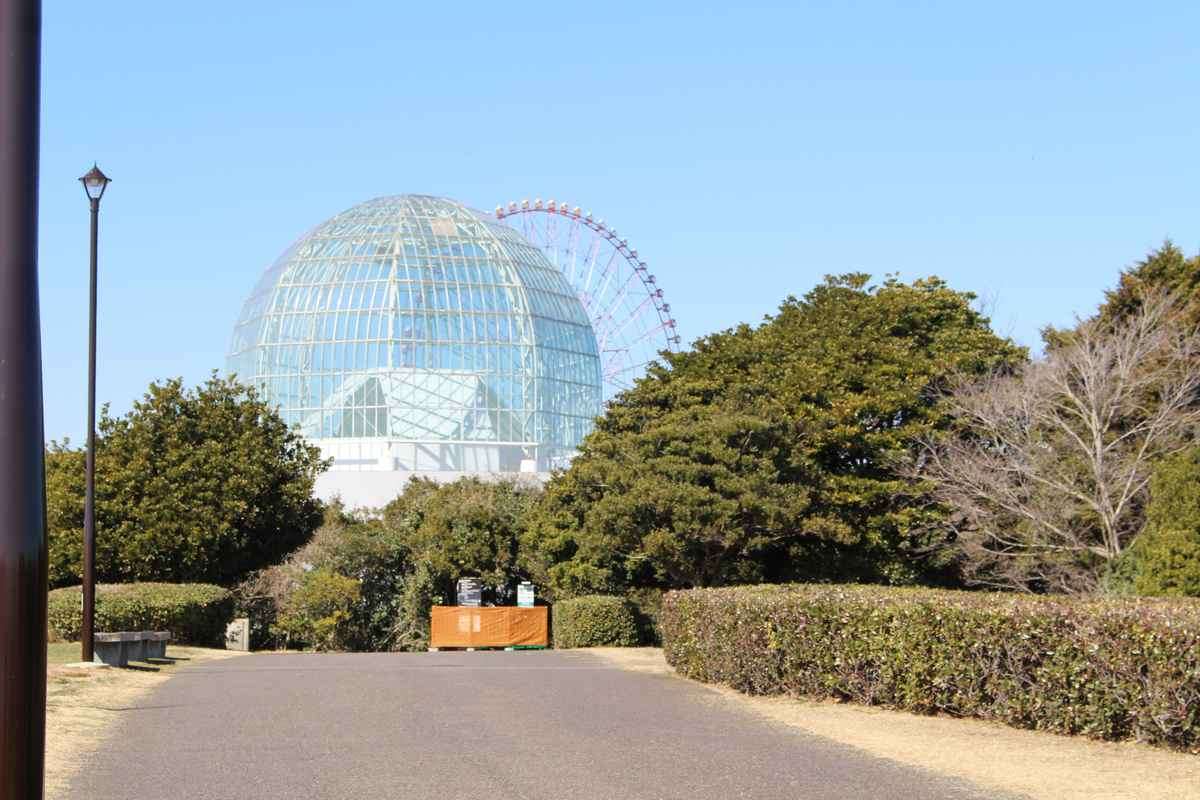地元住民の怒り爆発、葛西臨海水族園建て替え計画　樹木伐採して太陽光パネル設置「自然を壊して…の風潮に猛烈な違和感」