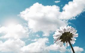 images (1)