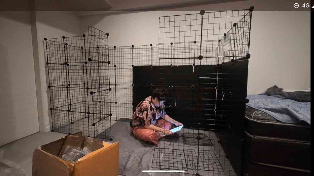 やす子、保護猫・アビシ用に作成した巨大ケージ「結局使ってない」　定位置はソファの上