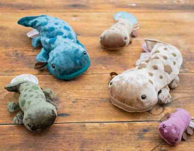 定期的に見る夢はありますか