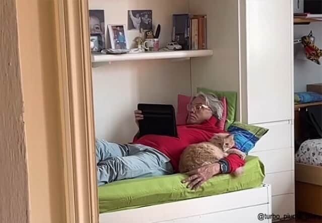 「猫はいらん、元いた場所に戻してこい！」そう言い放った父親の今の姿をご覧ください【画像】