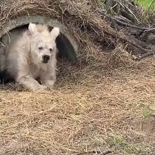 彼氏・旦那がよく寝る人