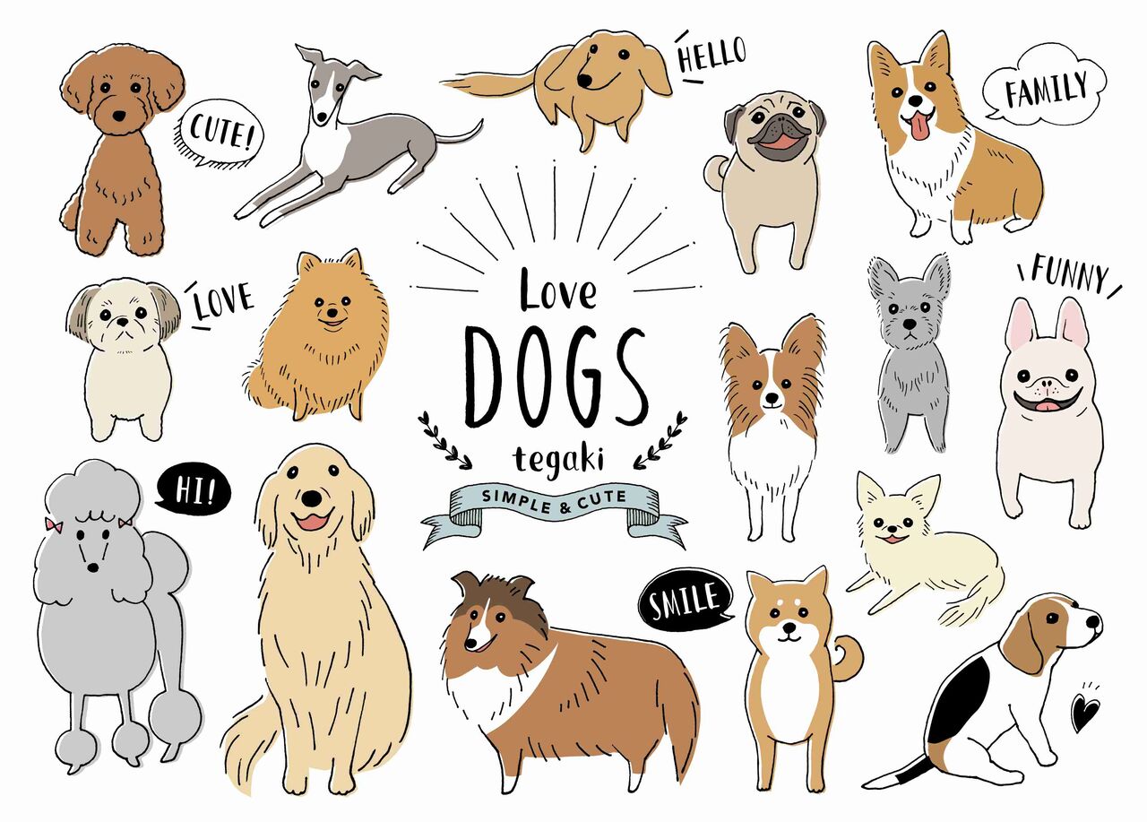 犬種とイメージを書くと実際にその犬種を飼っている（飼っていた）人がコメントをくれるトピ