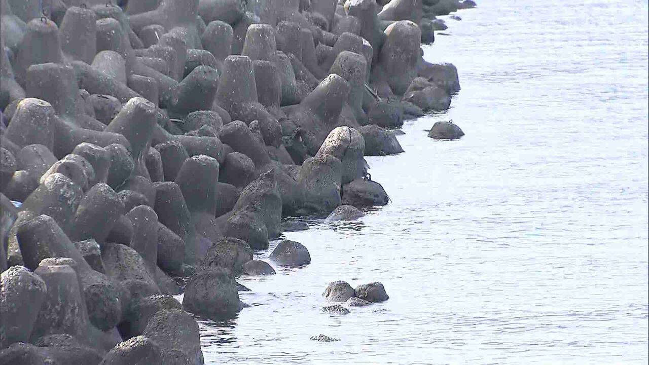 港にテープで両足縛られた26歳男性の遺体　容疑者3人を逮捕　路上で男性を拉致し車で加害目的で連れ去りか