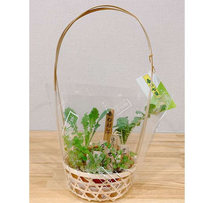 「こんなの初めて見た～」　スーパーで『春の七草』を買った女性、衝撃の事実に「え？」