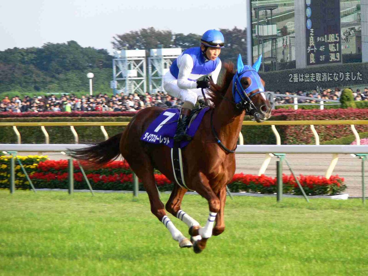 競走馬の名前を書いていくトピ
