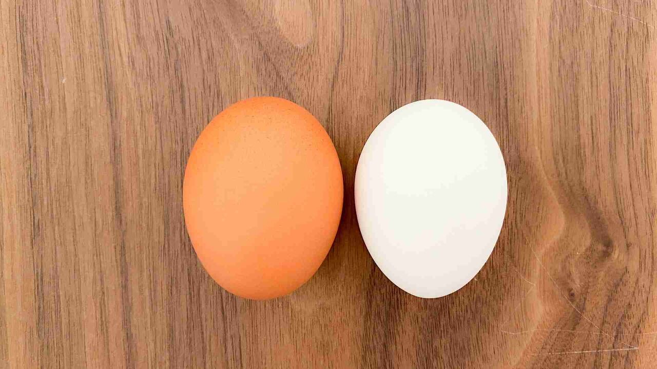 これとこれの違いは？と聞くと誰かが説明してくれるトピ