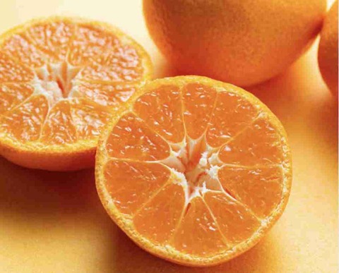 2025年、沖縄北部に大型テーマパーク『JUNGLIA』誕生 世界自然遺産「やんばる」をアピールする新たな観光拠点へ