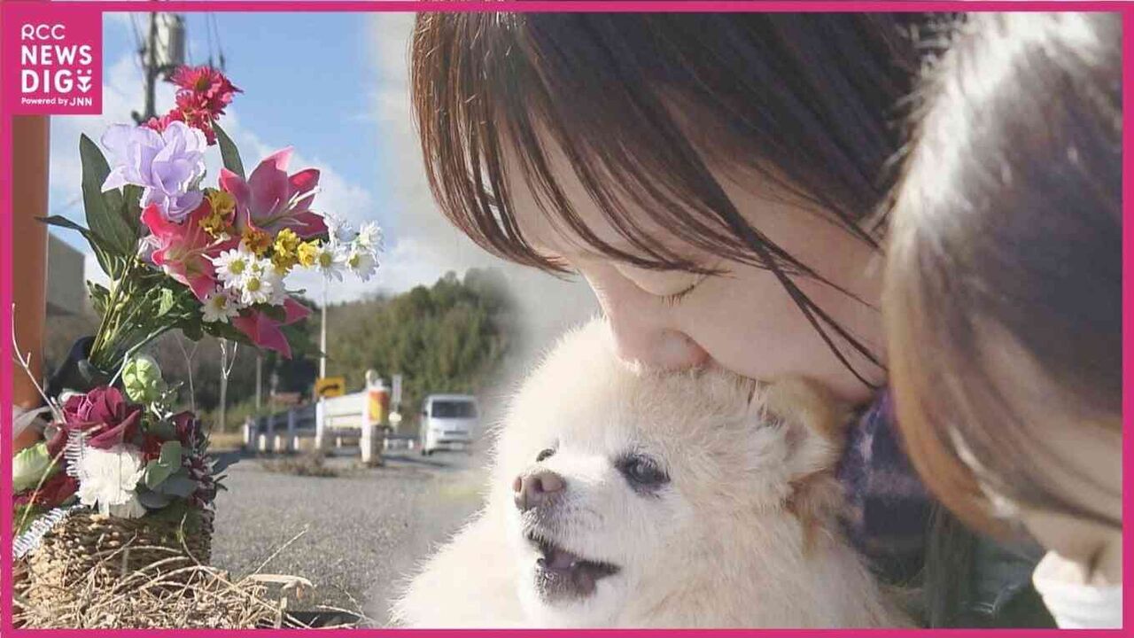 「あの日までのお母さんも死んだ」“たった15分の横着”が奪った夫と日常 1枚800kgの鉄板落下事故 被害者家族が訴え「被害者にも加害者にもさせないために」