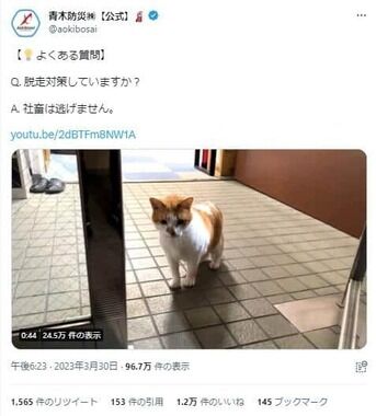 人気企業ツイッター「人権を傷つける不適切な投稿」で謝罪　「著しく配慮と自覚を欠く行為」担当者を処分へ