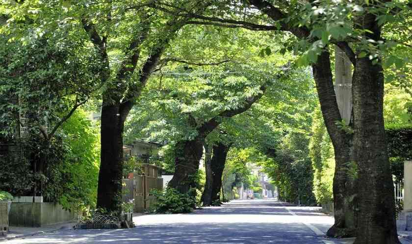 高級住宅街に住みたい