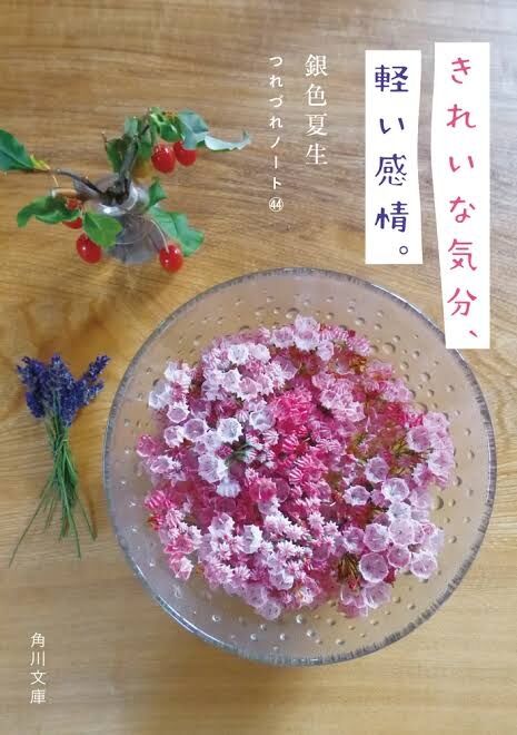 銀色夏生さん好きな方！