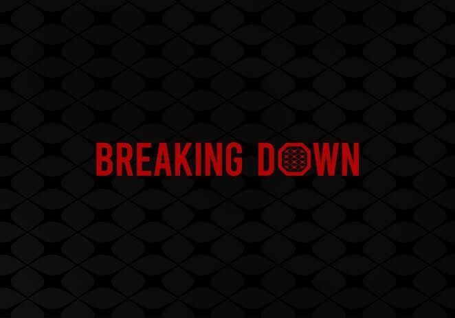 BREAKING DOWNブレイキングダウン好きな人