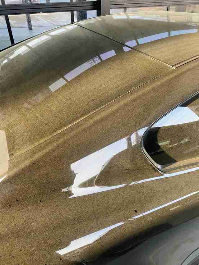 「全部花粉」一夜明けたら愛車がゴールドに　驚愕の光景に阿鼻叫喚「いやぁぁぁ」「見るだけで鼻むずむず」