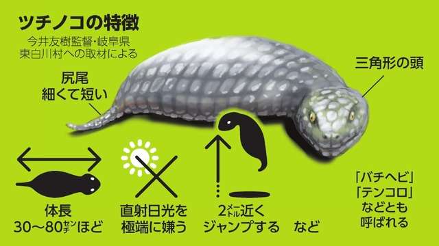 都市伝説を語ろう