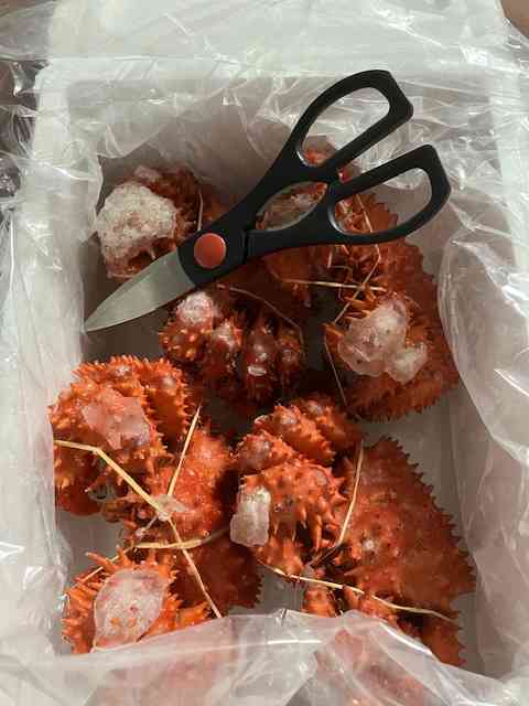 あえて映えない写真を撮ろう