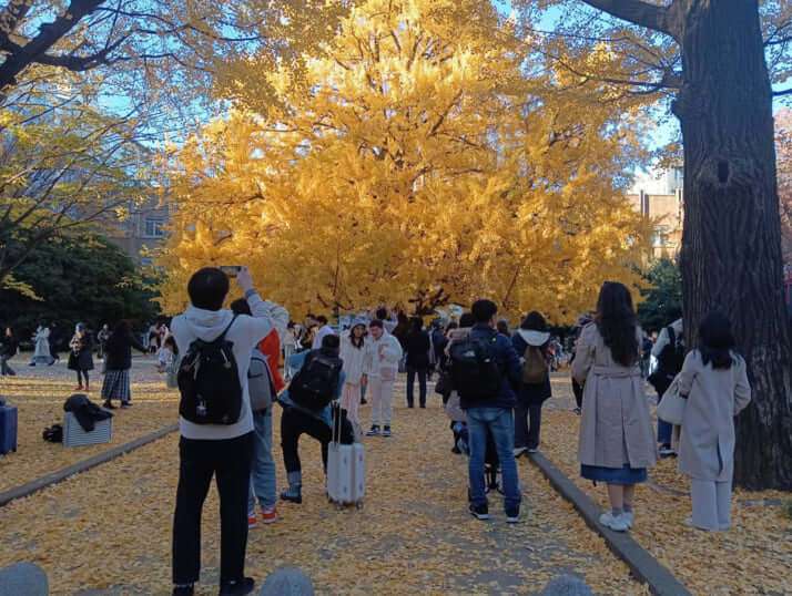 「東大」が「中国人留学生」だらけになっていた　大学院生の「5人に1人が中国人」…周辺には「ガチ中華」もズラリ