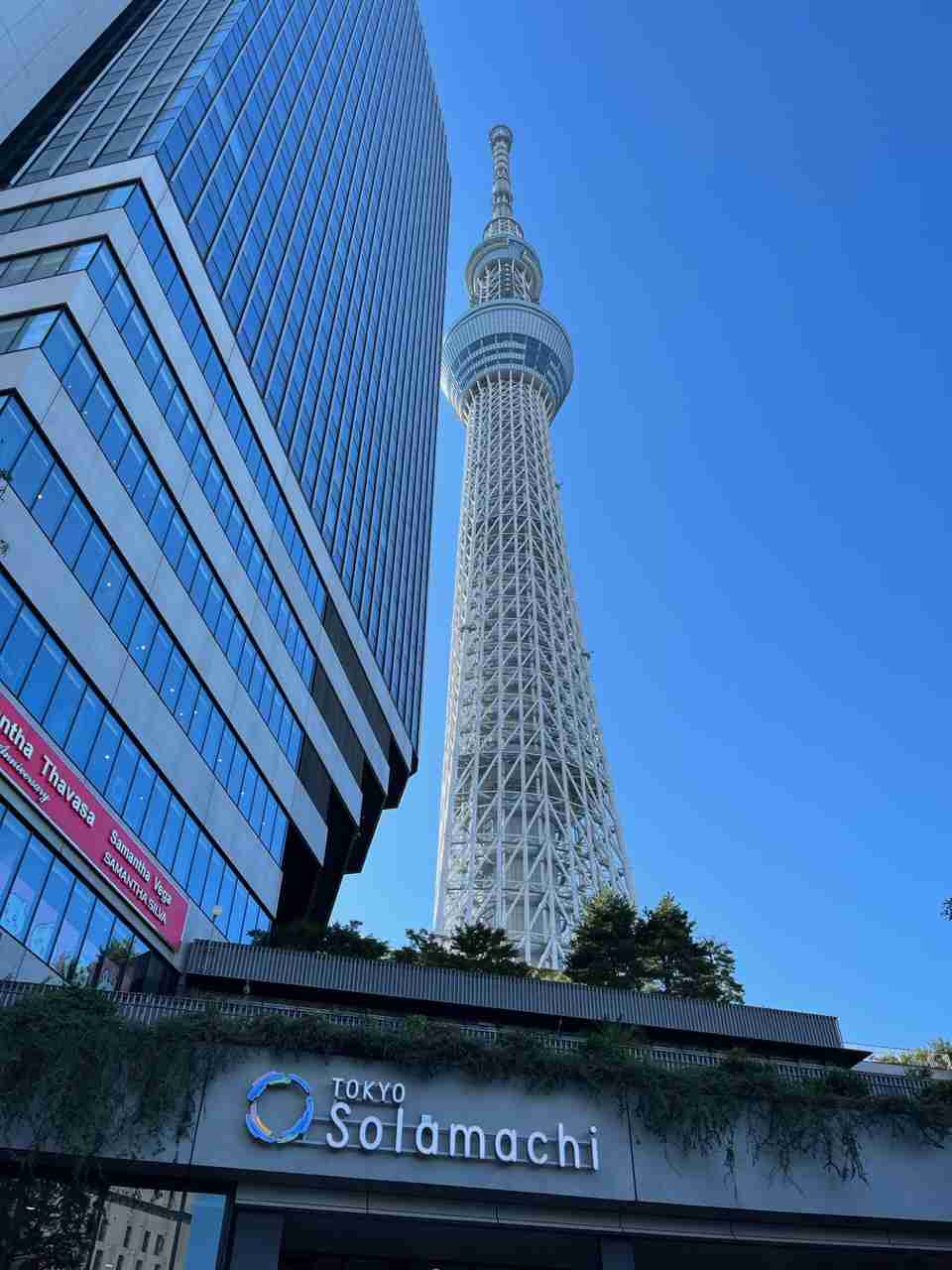 最近撮った写真見せてください。