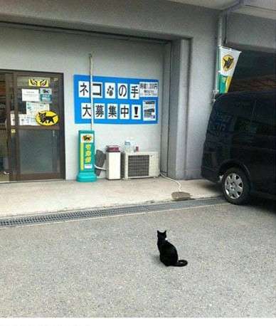 人手不足を感じますか?