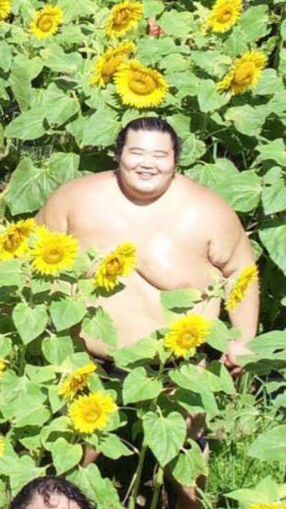 今まで住んで良かった街