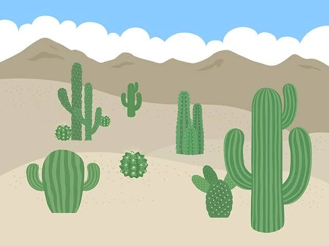 メキシコについて語ろう！