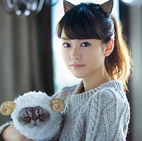 犬顔と猫顔、どっち派？？