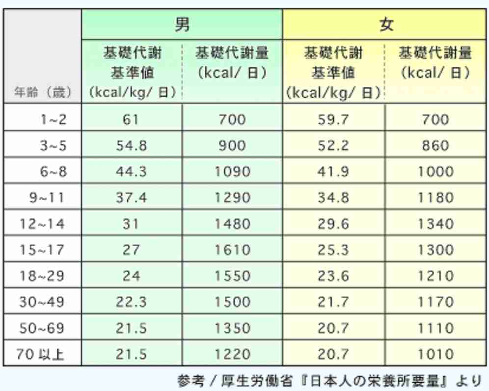 中年太りはなぜ起こるのか
