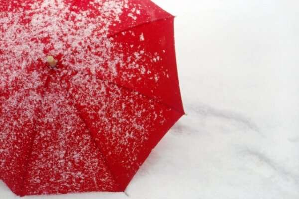 驚愕？ 東京では「雪の日に傘をさしている」　北海道出身者のカルチャーショック