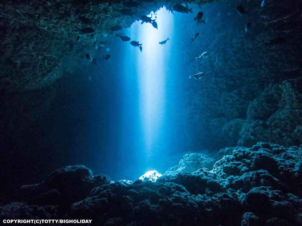 恐ろしくも美しいと思うもの