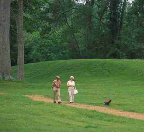 1日わずか4000歩で早期死亡リスク減、推奨“1万歩”よりずっと少なくても足りる
