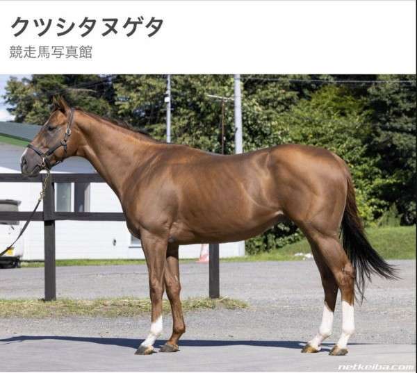 ただひたすらに好きな馬の名前を書いていくトピ