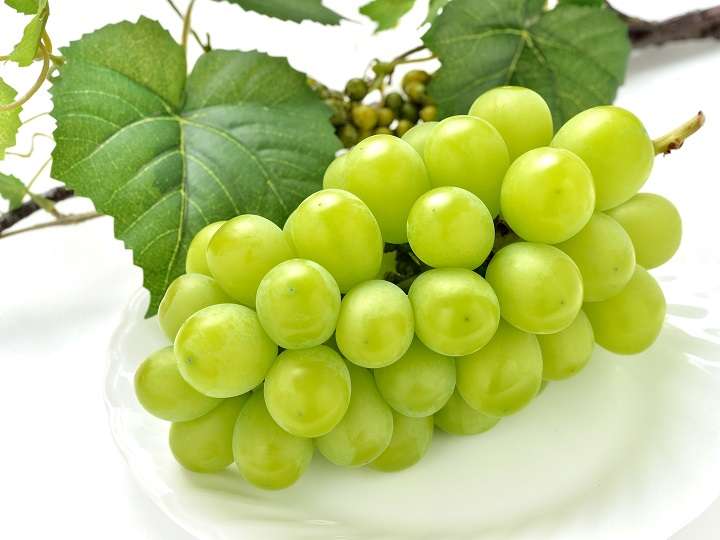 夫『シャインマスカット250円になってたから買ってきた』→100gあたりの値段で普通に一房2000円弱だった「大粒で美味しいのは間違いない」