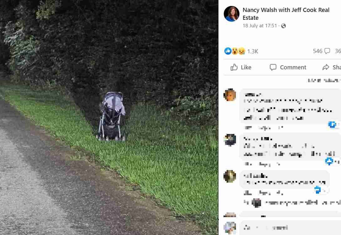 道端に放置されたベビーカーを発見した女性、「決して近寄らないで！」と人々に警告（米）