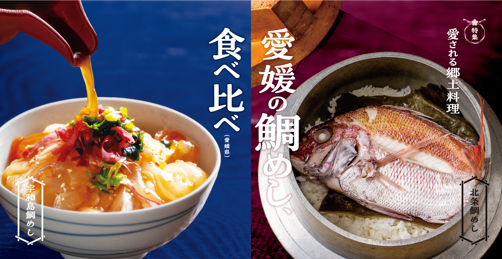 愛媛県について知っていること