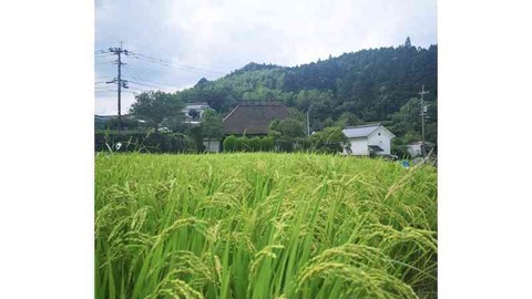 「彼氏がバツ2子持ちと判明！周りに結婚を反対され…」大事なことを後出しする男性の心理