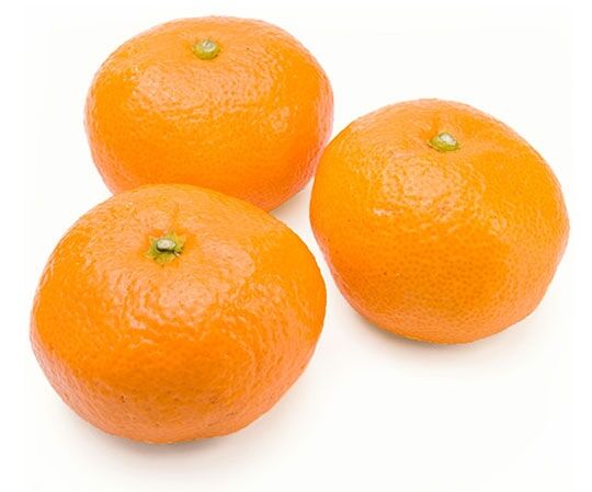 ❮給食❯どんなデザートがでていましたか？
