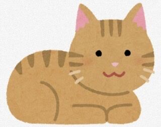 自分が思う猫の一番かわいい仕草