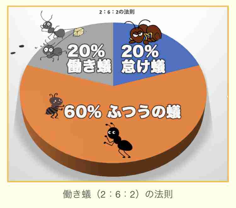 働き蟻の法則　あてはまりますか？