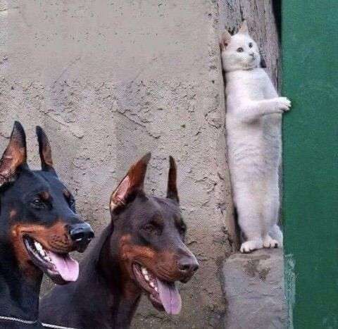 自分にとって怖いと感じる人と仕事する時