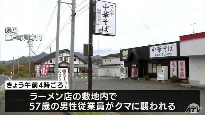 ラーメンの仕込み中にクマに襲われ男性けが　「やられて、投げ返した」　男性は反撃しクマ逃げる　国道沿いの店舗敷地内に出没　青森県三戸町