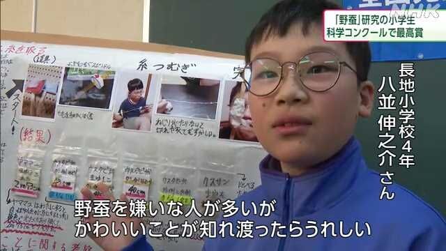 「野蚕」死なせずに糸をとる方法考案 小学生が文部科学大臣賞