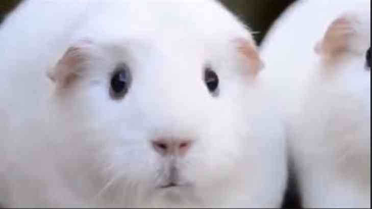 子供の癇癪に疲れた人_(:3 」∠)_