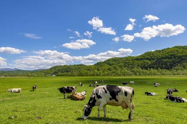 都道府県魅力度ランキング2023【47都道府県・完全版】