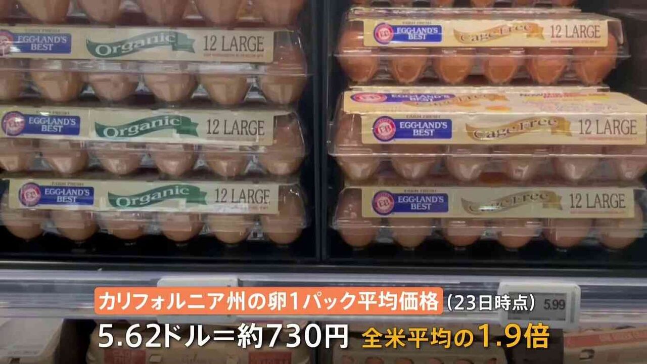 アメリカでも「卵」高騰　1パック730円…“エッグフレーション”の現場は